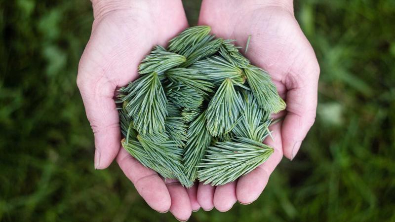 旺财28财富密码：解读日进斗金背后的运营逻辑
